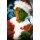 Der Grinch (2000) - PLAION GmbH 8229647 - (DVD Video / Komödie)