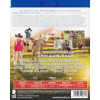 BJ & Belle (Blu-ray) - Tiberius Film T29971 -...