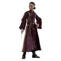Hasbro Star Wars The Black Series Padm’ Amidala...